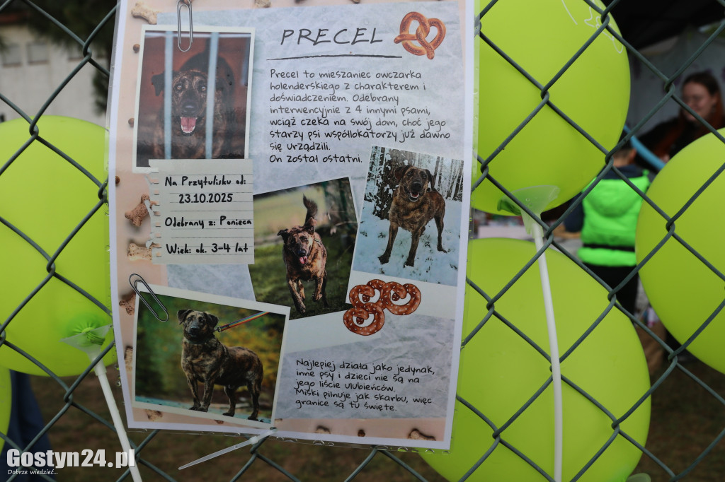 Drzwi Otwarte w Przytulisku dla Psów w Poniecu