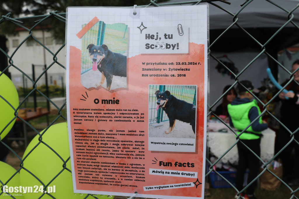 Drzwi Otwarte w Przytulisku dla Psów w Poniecu