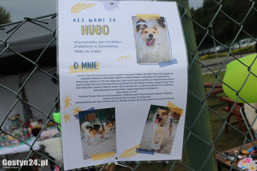 Drzwi Otwarte w Przytulisku dla Psów w Poniecu