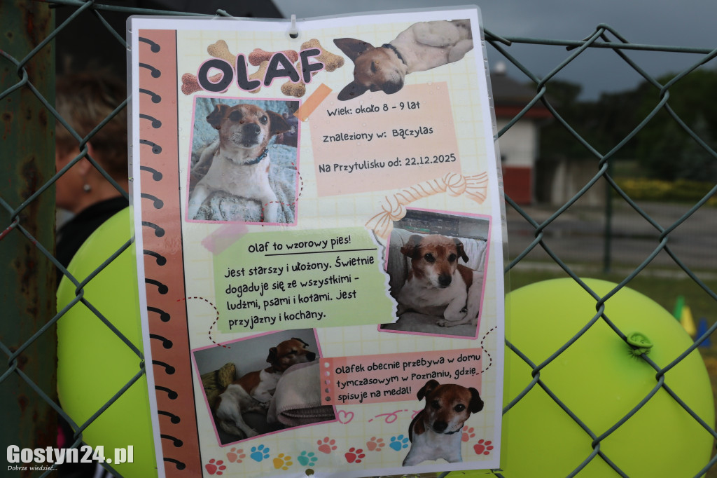 Drzwi Otwarte w Przytulisku dla Psów w Poniecu