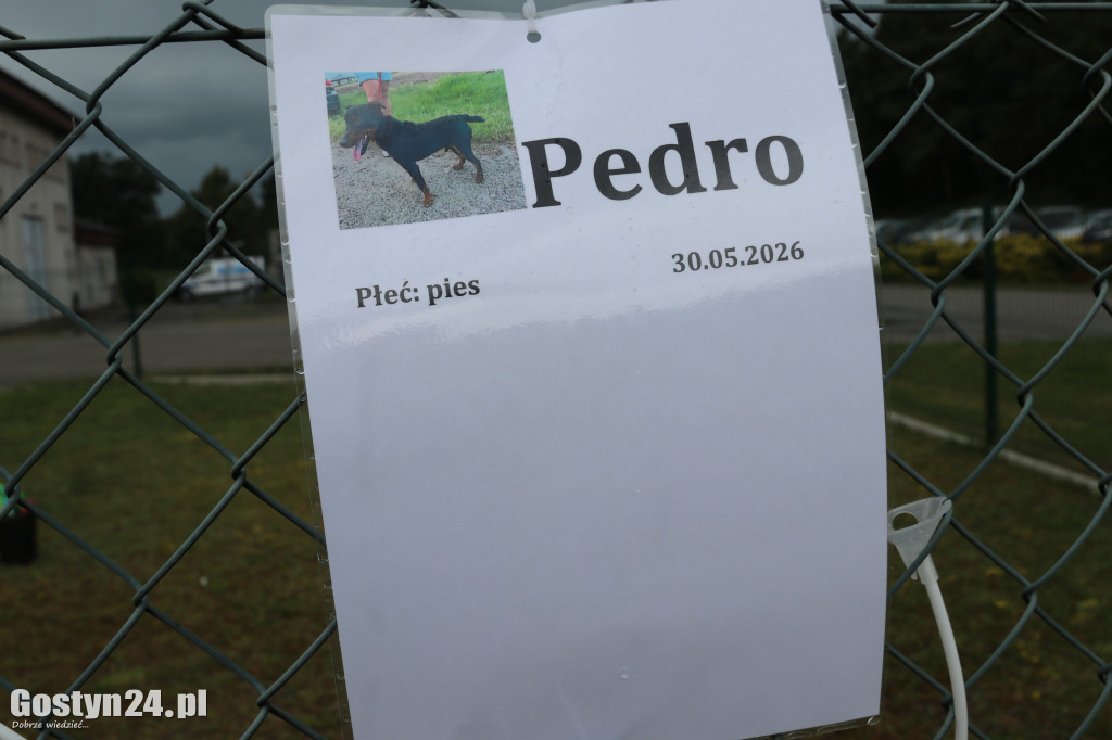 Drzwi Otwarte w Przytulisku dla Psów w Poniecu