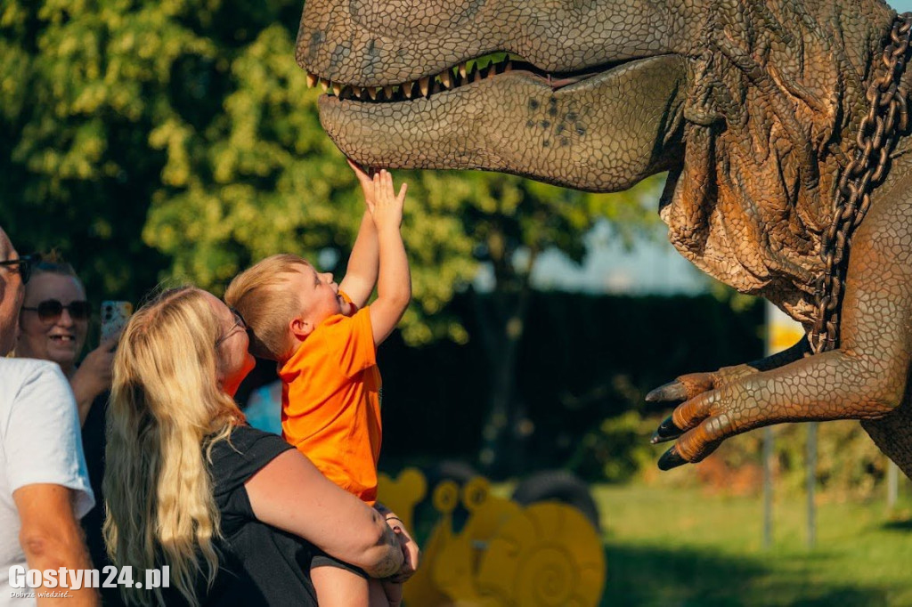 Alpaki, dinozaury... Tak świętowano w Goli