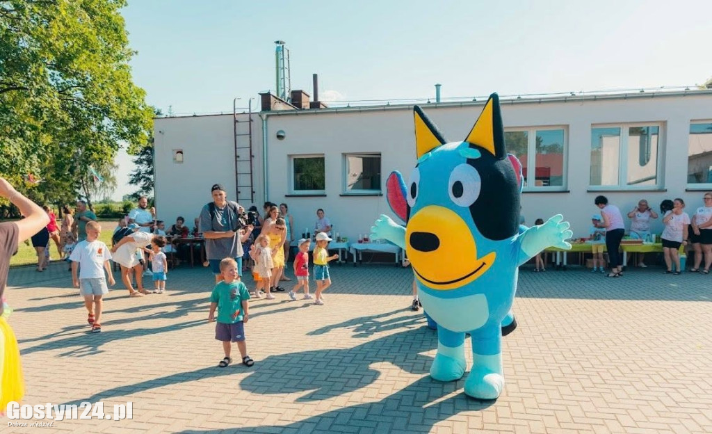Alpaki, dinozaury... Tak świętowano w Goli