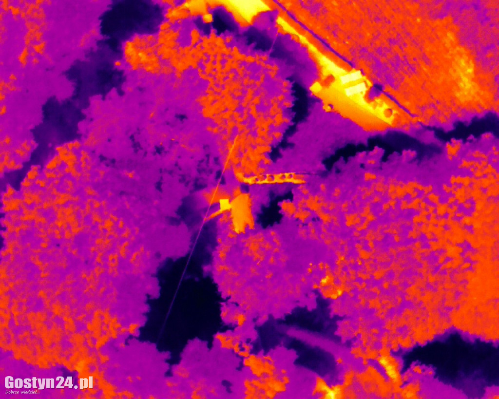 Gostyń w kamerze termowizyjnej - zdjęcia z 28 czerwca 2026