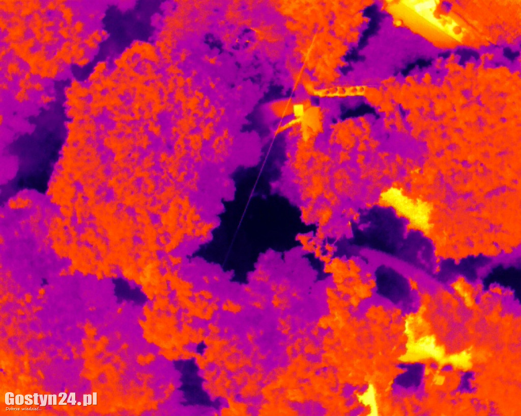 Gostyń w kamerze termowizyjnej - zdjęcia z 28 czerwca 2026