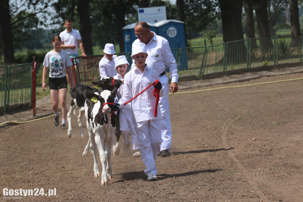 Wystawa zwierząt w Pudliszkach