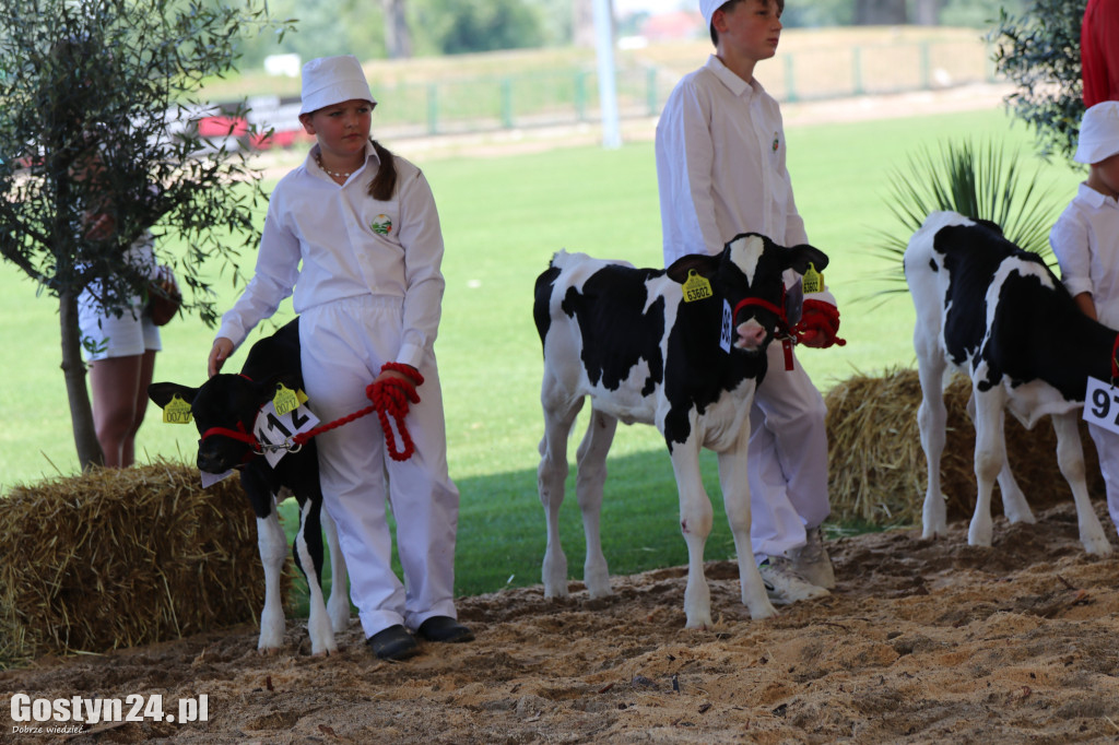 Wystawa zwierząt w Pudliszkach