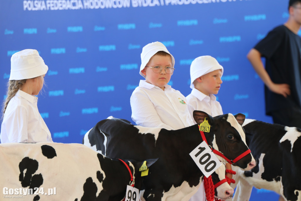 Wystawa zwierząt w Pudliszkach