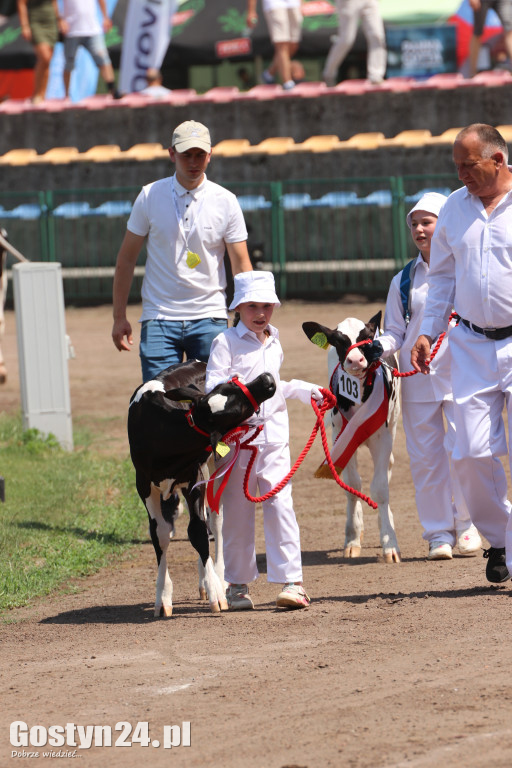 Wystawa zwierząt w Pudliszkach