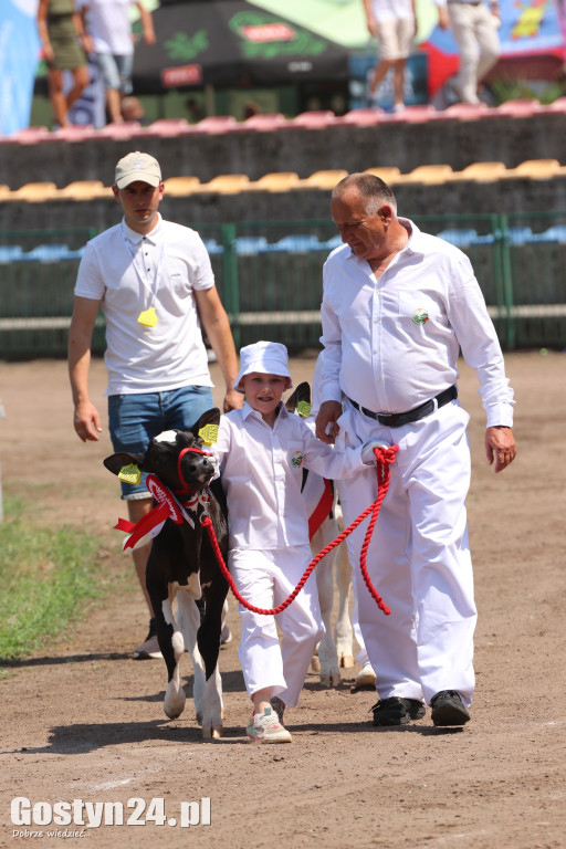 Wystawa zwierząt w Pudliszkach