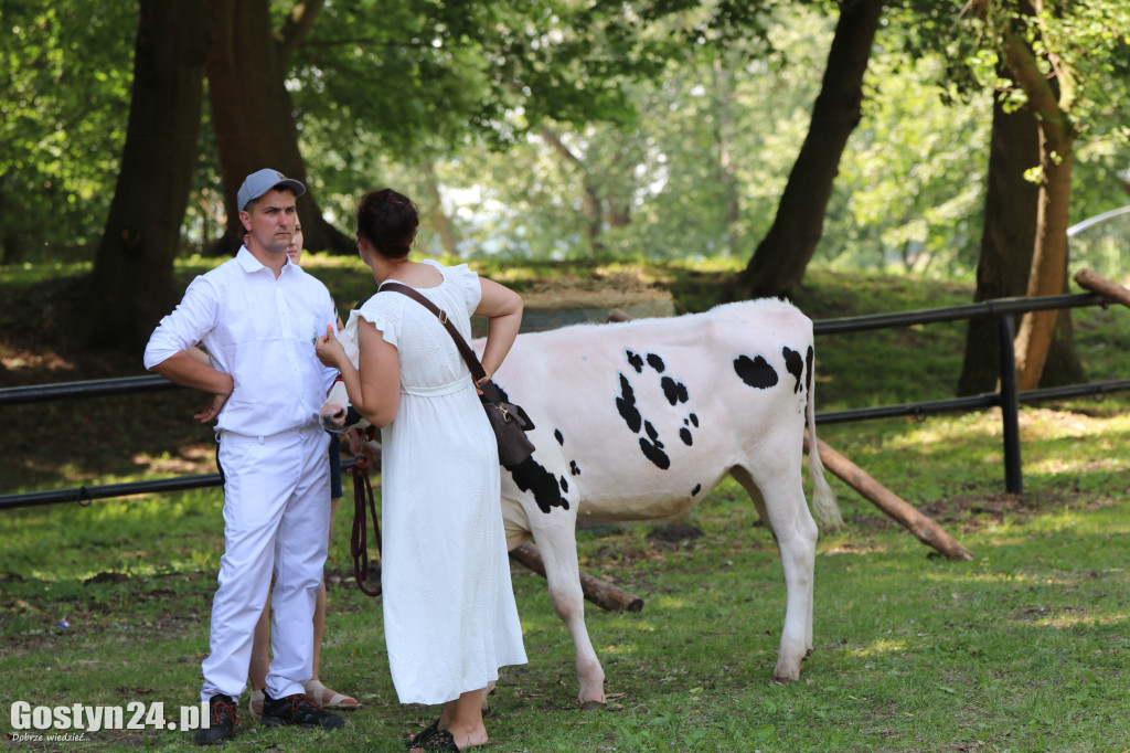 Wystawa zwierząt w Pudliszkach