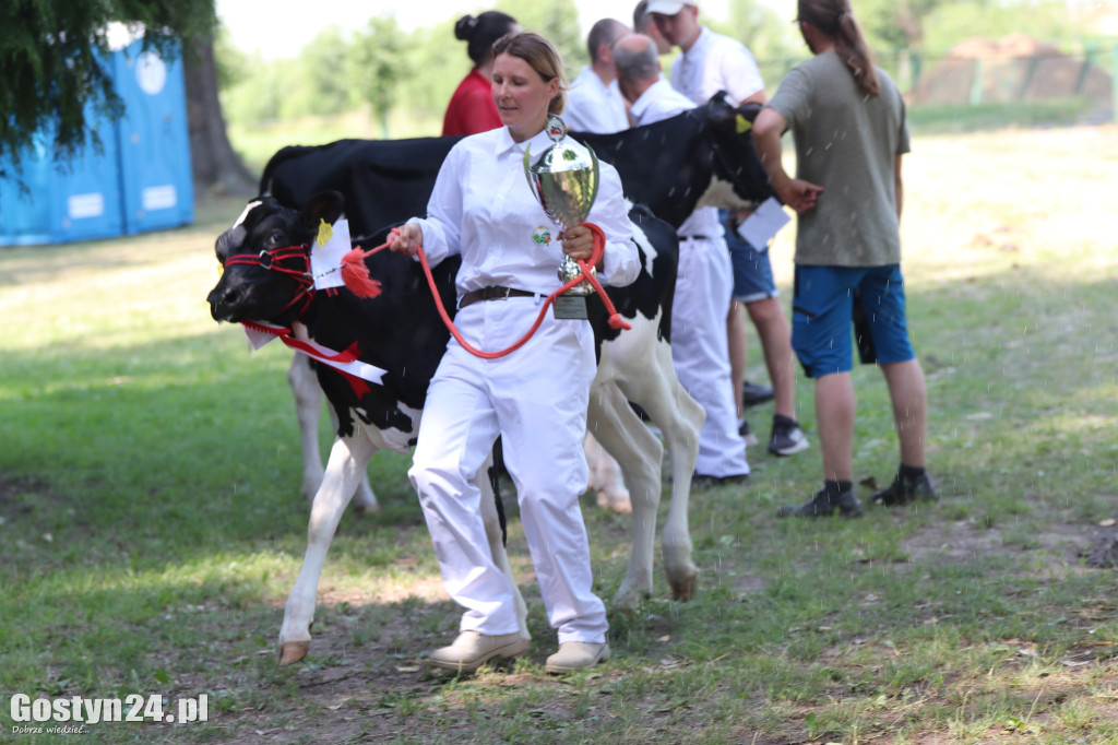 Wystawa zwierząt w Pudliszkach