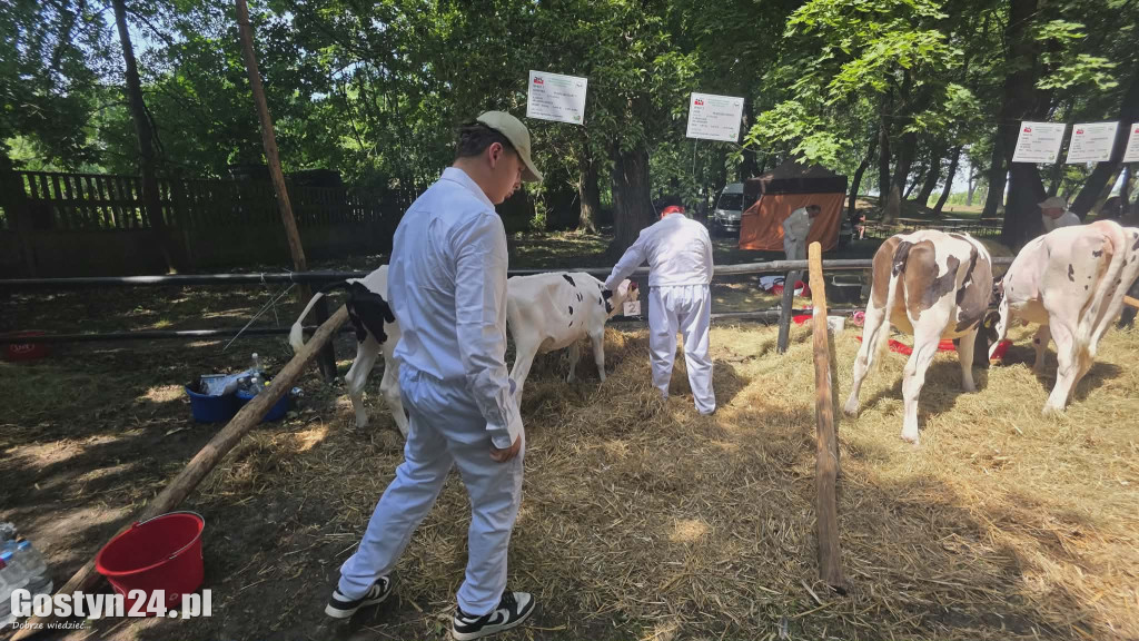 Wystawa zwierząt w Pudliszkach