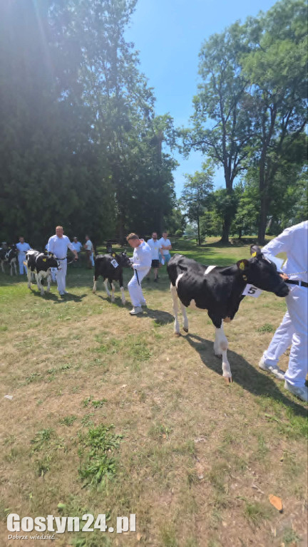 Wystawa zwierząt w Pudliszkach