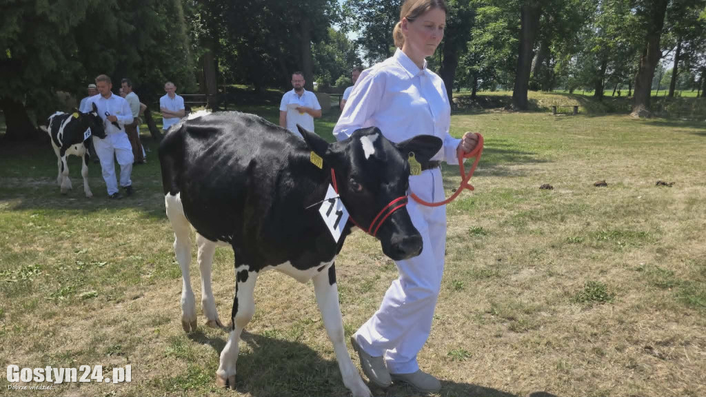 Wystawa zwierząt w Pudliszkach