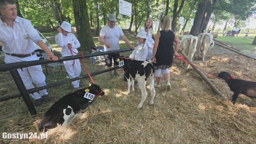 Wystawa zwierząt w Pudliszkach