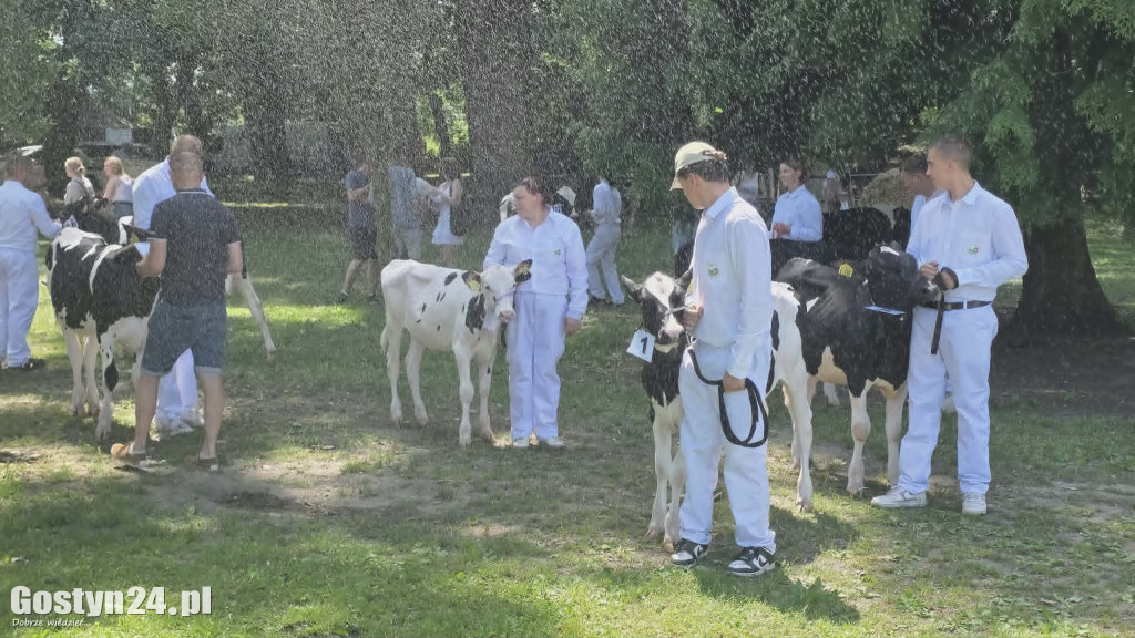 Wystawa zwierząt w Pudliszkach