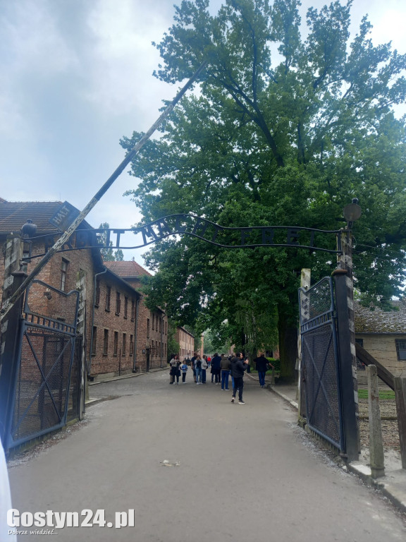 Patrz w górę. Najlepsze wspomnienia