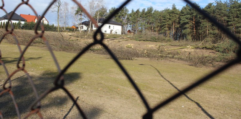 Legalne "rżnięcie" na potęgę