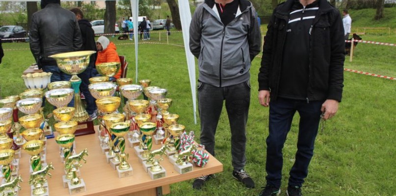 Pierwsza wystawa i ogromny sukces - film