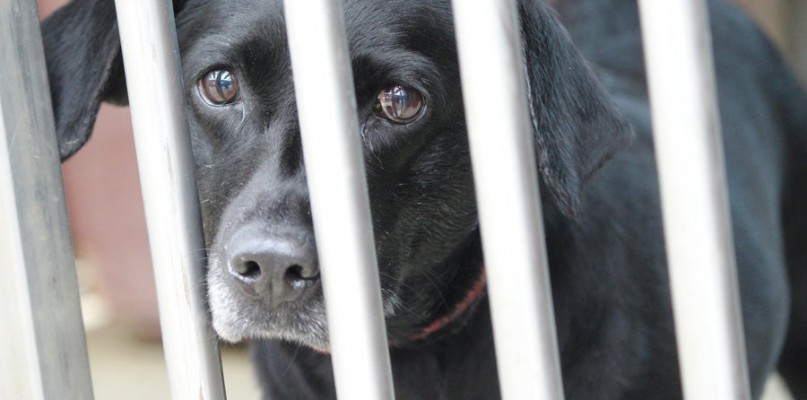 To nie zabawka. Nie wszyscy o tym wiedzą