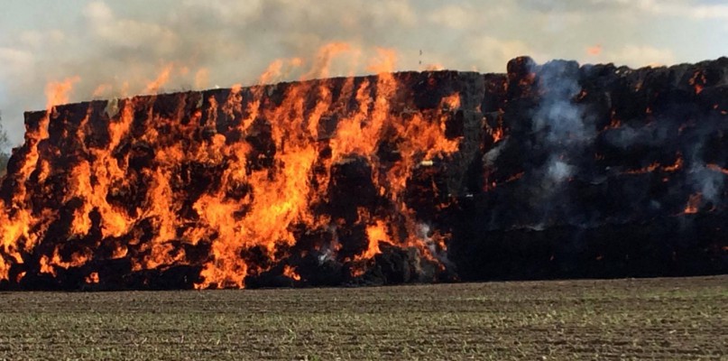 Płoną baloty słomy. Ogromny pożar w Borku Wlkp. 