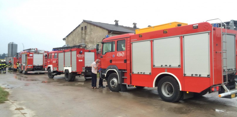 Pożar chlewni w Koszkowie. Padło kilkanaście zwierząt