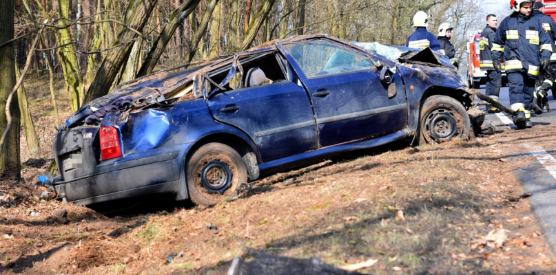 Foto: M.Czubak/Tydzień Ziemi Śremskiej