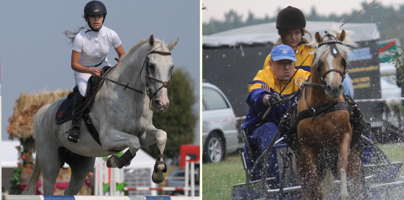 Foto: Patryk Kołacki, MiS