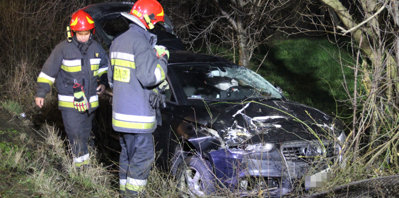 Kierowca z urazem głowy w szpitalu. Pies zniknął bez śladu...