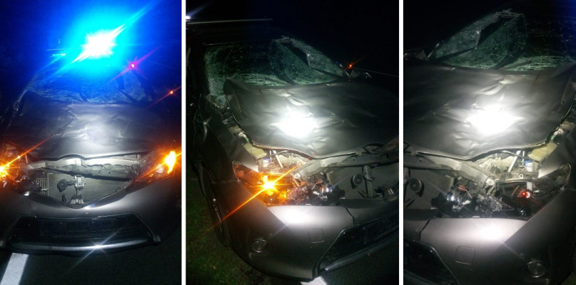 Foto/fotomontaż: KPP Gostyń