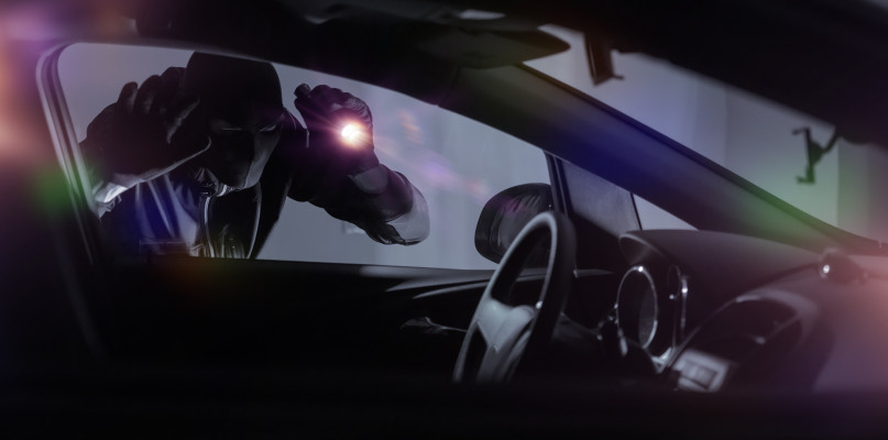 Wczorajszej nocy zniknął z posesji. Był wart prawie pół miliona złotych!