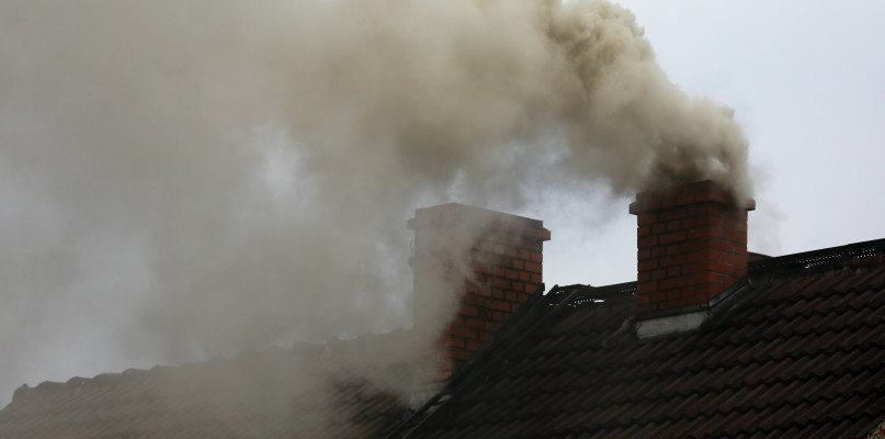 Złapani na gorącym uczynku... Puszczali z dymem wszystko, żeby "nie marnować"