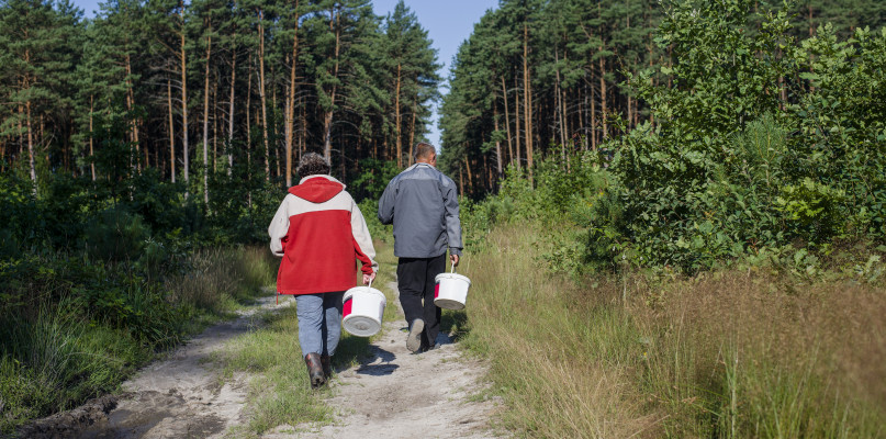 Zdjęcie poglądowe/fotolia