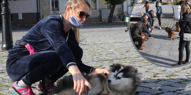 Foto: Gostyn24