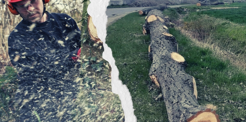 Zdjęcie poglądowe/fotolia/archG24/fotomontaż