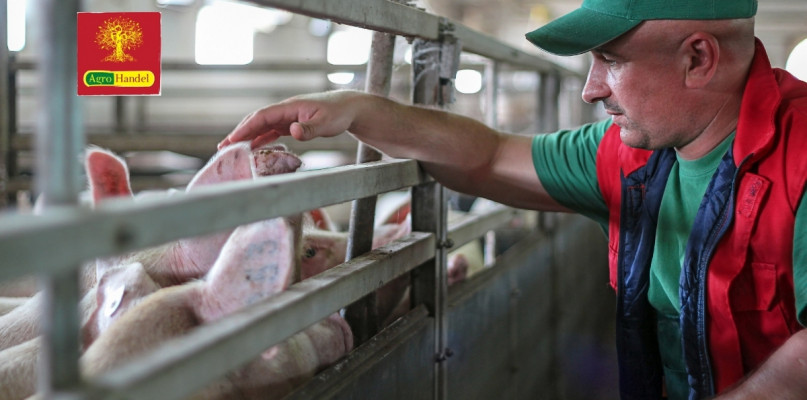 Zdjęcie poglądowe/fotolia