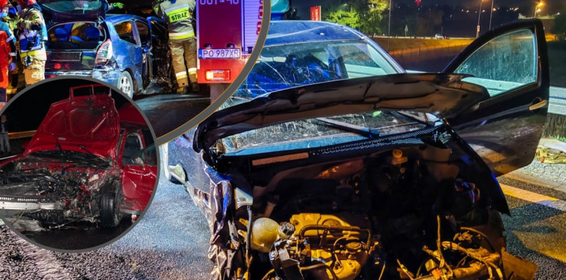 Foto: Michał Czubak/Tydzień Ziemi Śremskiej/fotomontaż Gostyn24