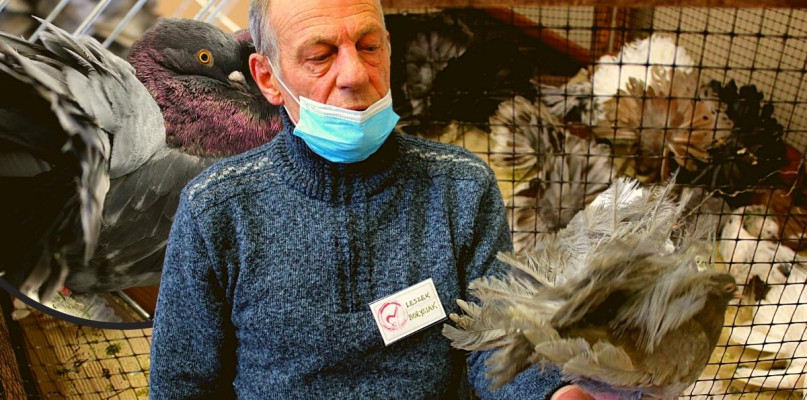 Jedyna taka wystawa w Polsce! Sędzia z Holandii odrzucał po kolei najgorsze...