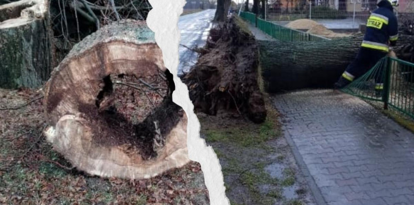 Foto: OSP Borek Wlkp./Fotomontaż Gostyn24