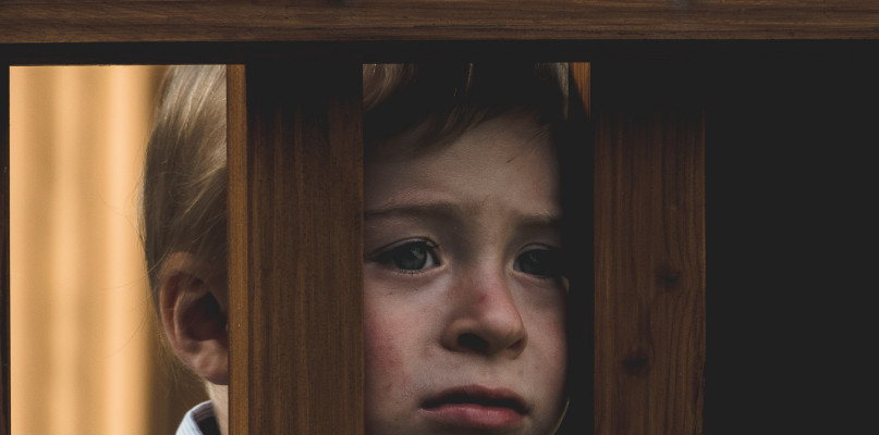 Fot. Tadeusz Lakota na Unsplash/PCPR