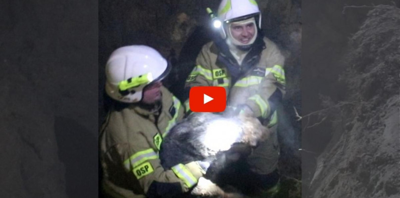 Foto: Gostyn24/Canva/Fotomontaż