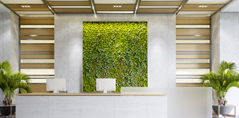 Zielona ściana w Twoim biurze