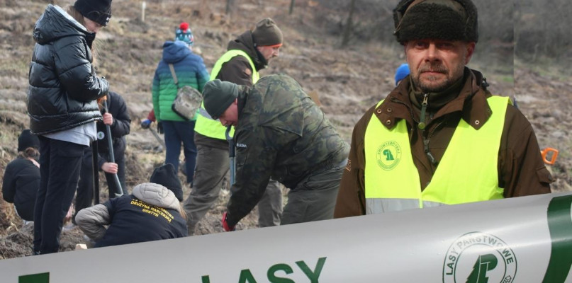 Poszło całkiem sprawnie. Teraz wszystko na barkach opatrzności mówią leśnicy