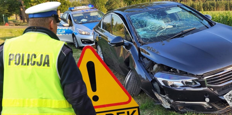 Foto: Gostyn24/fotomontaż