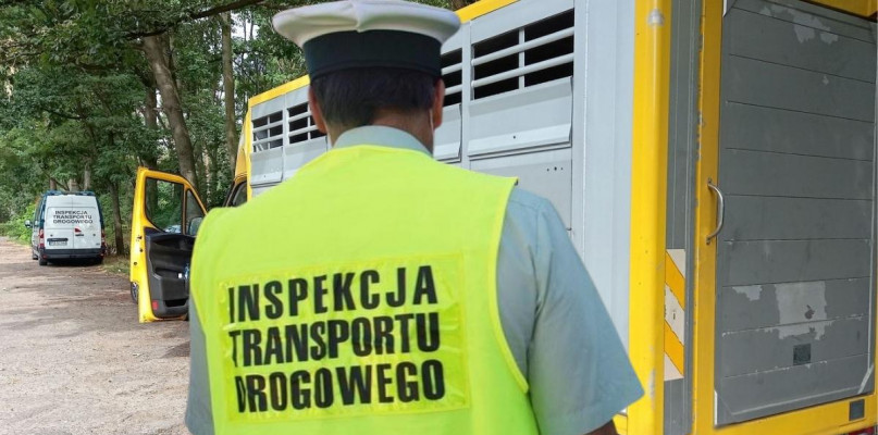 Foto: Wojewódzki Inspektorat Transportu Drogowego w Poznaniu/Główny Inspektorat Transportu Drogowego/Fotomontaż/Gostyn24