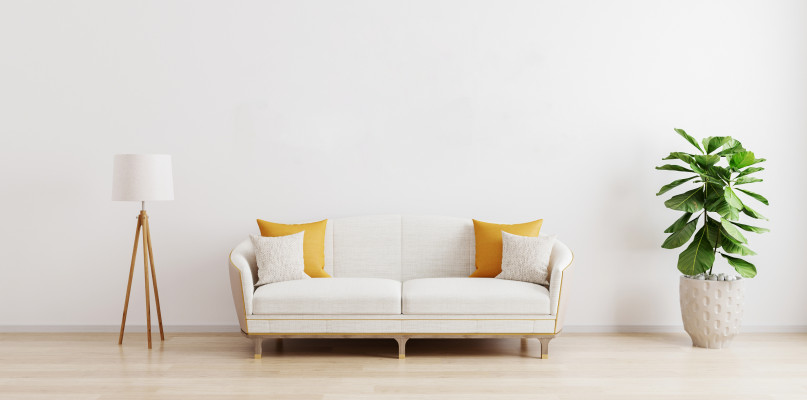 Foto: AdobeStock/Zleceniodawca