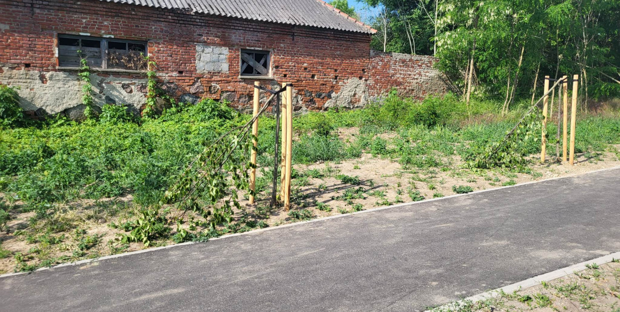 Foto: Gostyn24