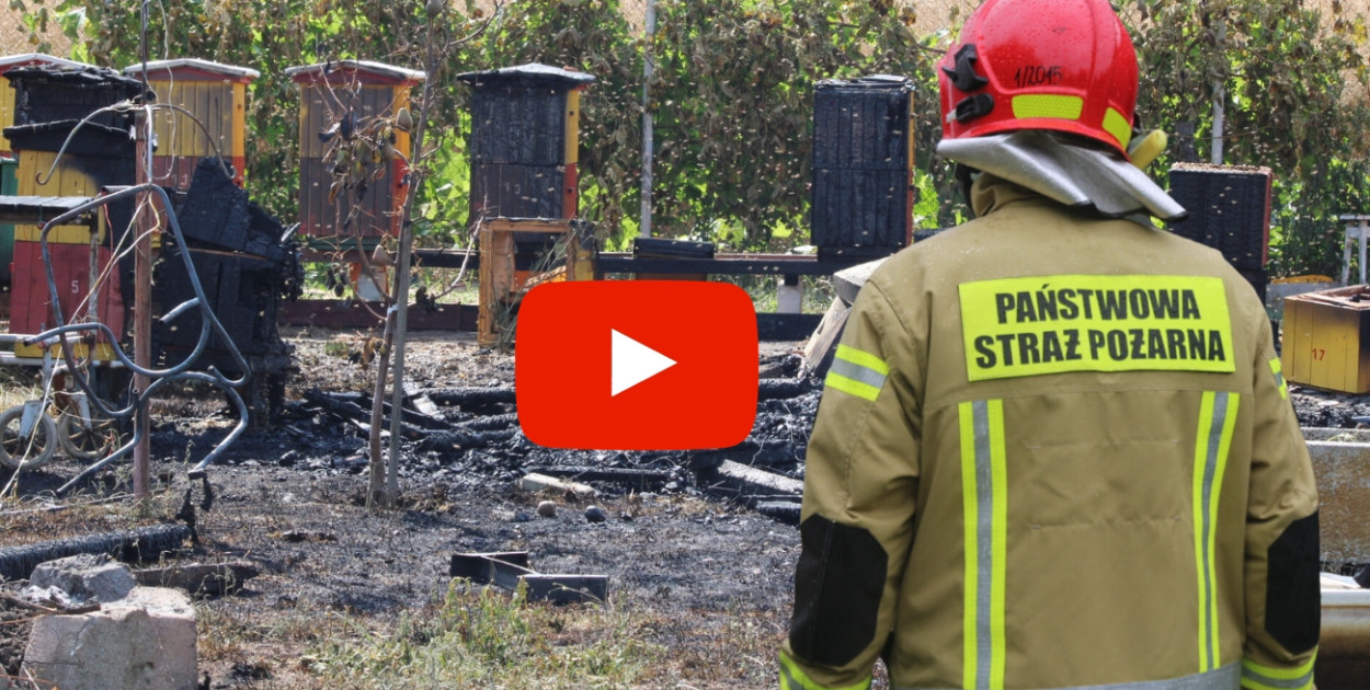 Foto: Gostyn24/Fotomontaż