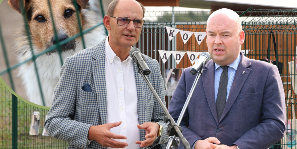 Ten pomysł wywołał oburzenie. Psy ratujmy, nie gotujmy mówiono w Poniecu